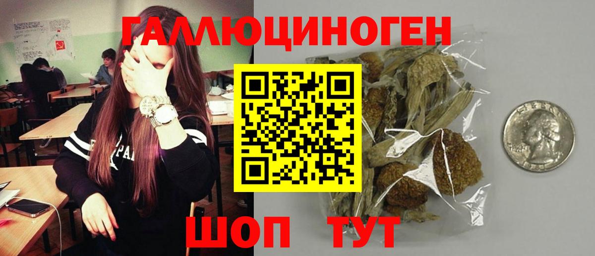 Среднеуральск  Псилоцибиновые грибы Psilocybine cubensis  как найти наркотики  Вход с VPN  Галлюциногенные грибы Cubensis 