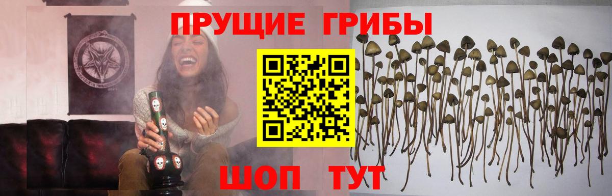 Галлюциногенные грибы мухоморы Среднеуральск